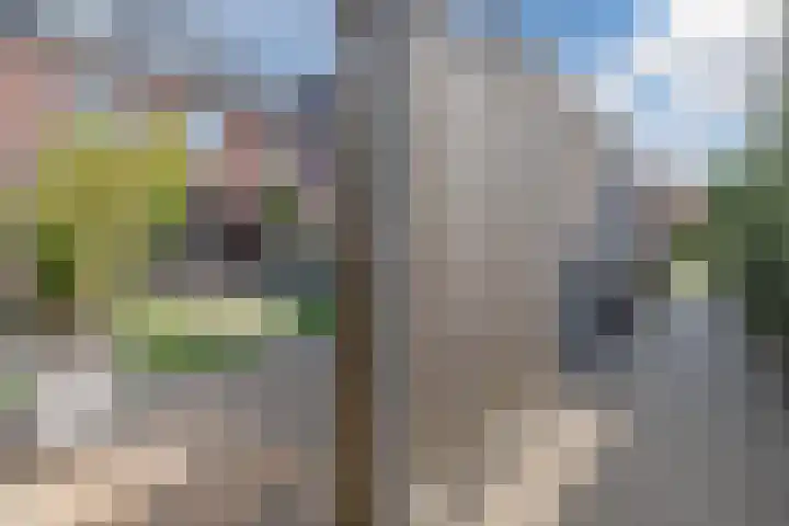 Groot Agteveldlaan 39 Achterveld thumbnail 39