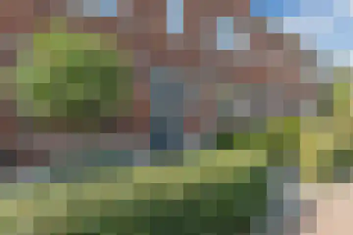 Groot Agteveldlaan 39 Achterveld thumbnail 40