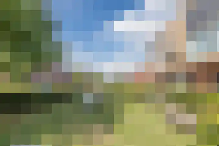 Groot Agteveldlaan 39 Achterveld thumbnail 43