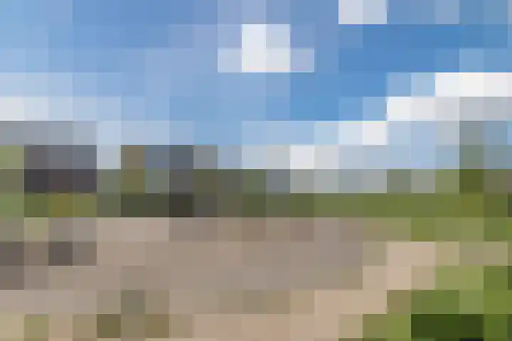 Groot Agteveldlaan 39 Achterveld thumbnail 44