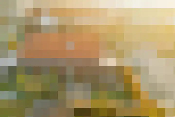 Groot Agteveldlaan 40 Achterveld thumbnail 29