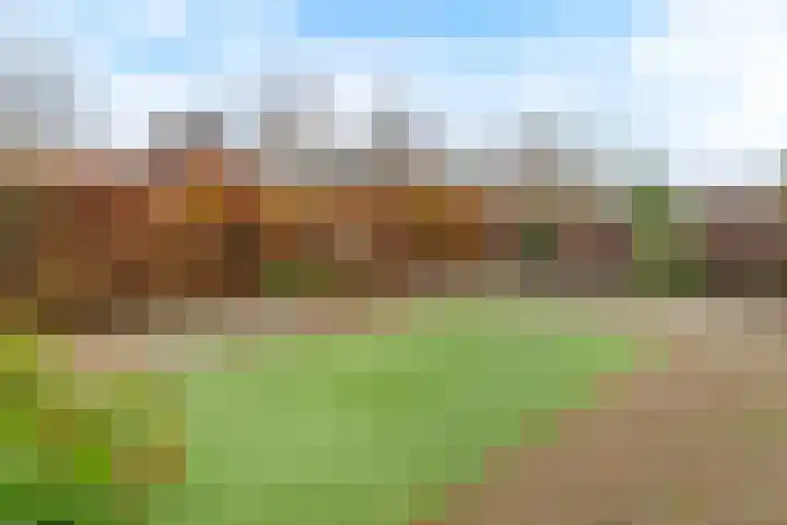 Groot Agteveldlaan 40 Achterveld thumbnail 32