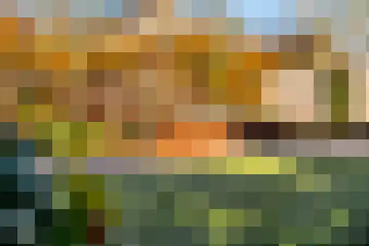 Groot Agteveldlaan 40 Achterveld thumbnail 38