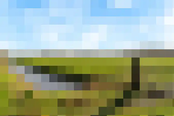 Groot Agteveldlaan 40 Achterveld thumbnail 40