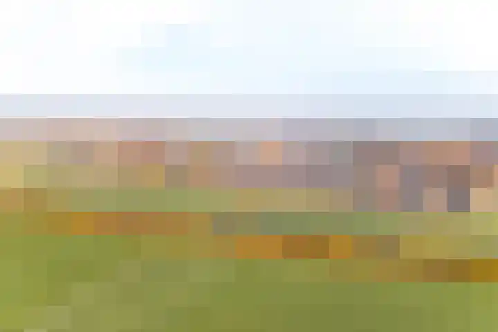 Groot Agteveldlaan 40 Achterveld thumbnail 41
