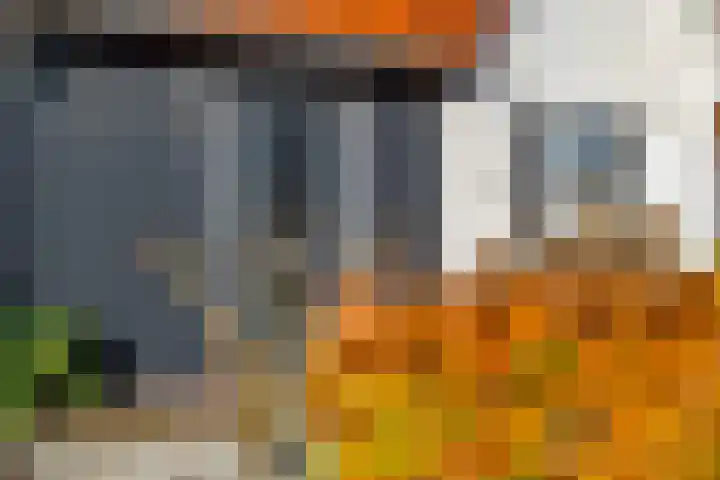 Groot Agteveldlaan 40 Achterveld thumbnail 6