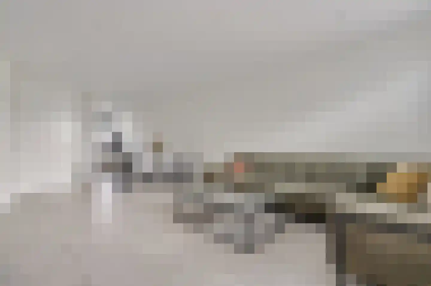Groot Agteveldlaan 87 Achterveld thumbnail 6
