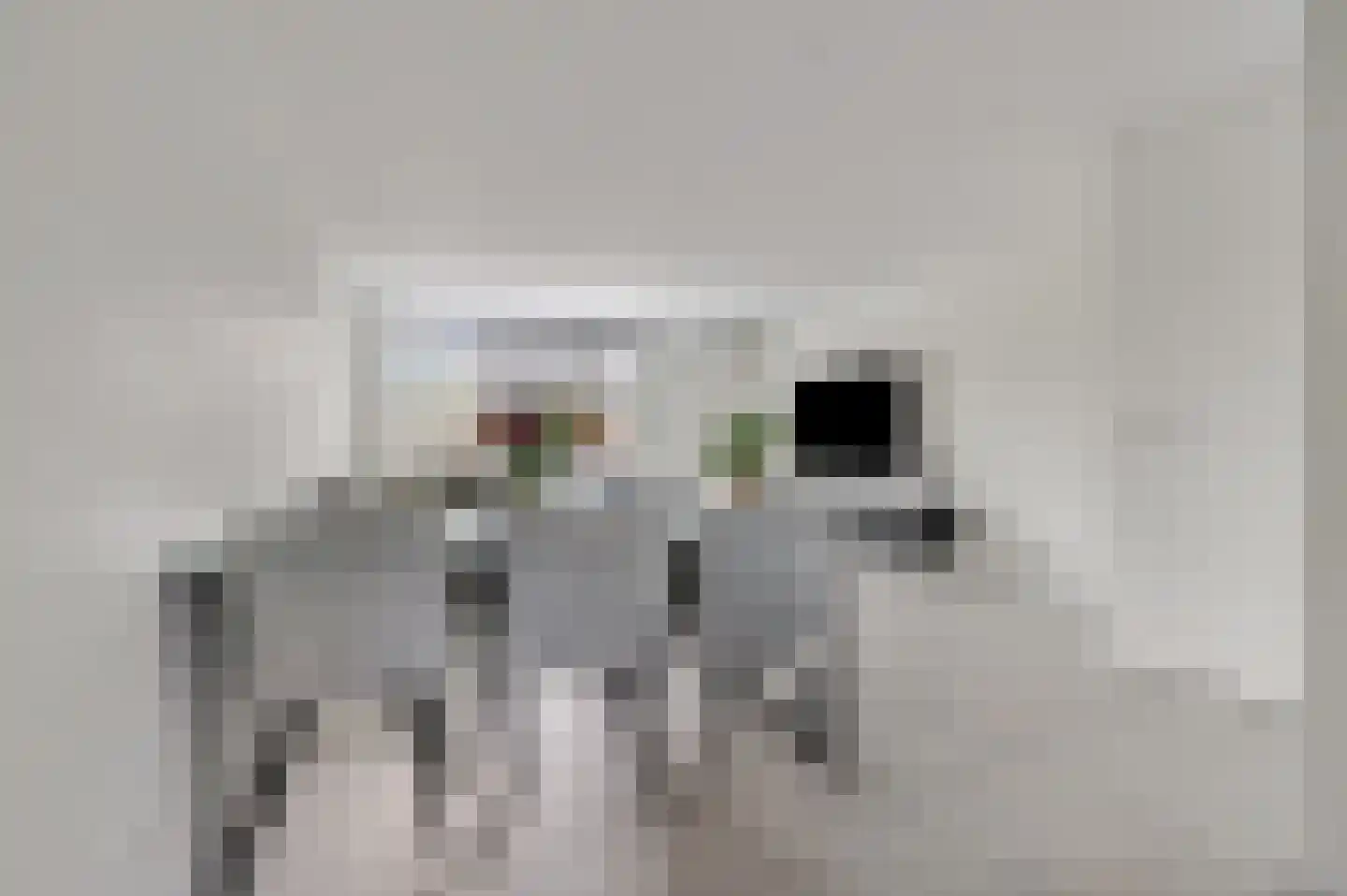 Groot Agteveldlaan 87 Achterveld thumbnail 7