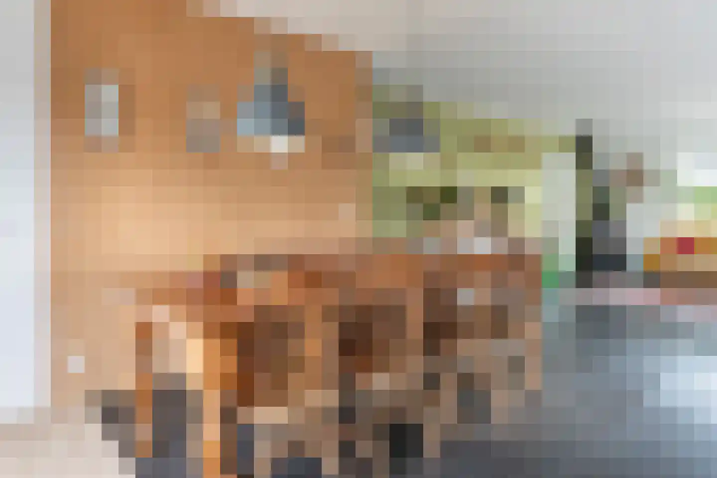 Groot Akkersweg 15 Exloo thumbnail 11