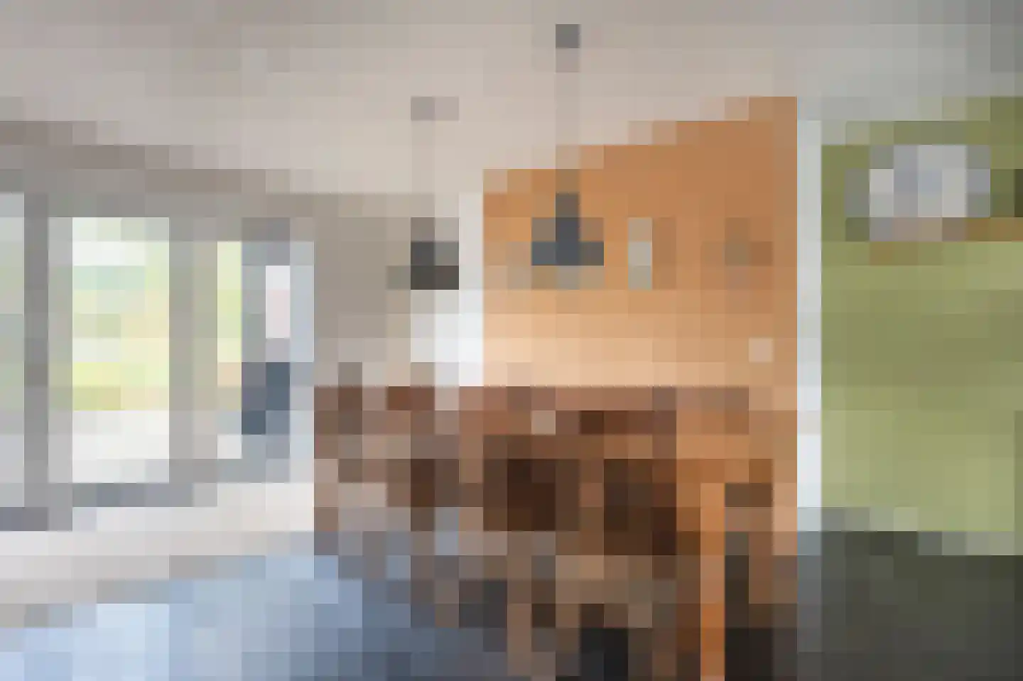 Groot Akkersweg 15 Exloo thumbnail 12