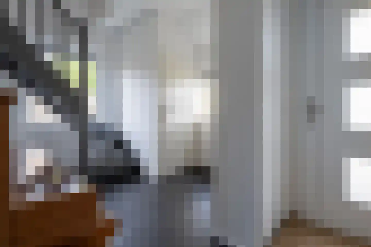 Groot Akkersweg 15 Exloo thumbnail 24