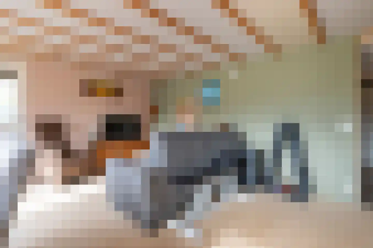 Groot Akkersweg 15 Exloo thumbnail 30