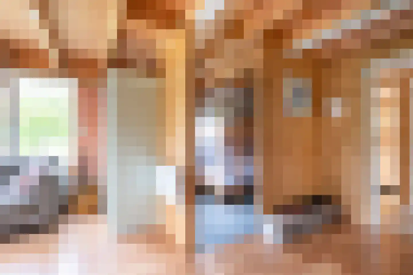 Groot Akkersweg 15 Exloo thumbnail 33