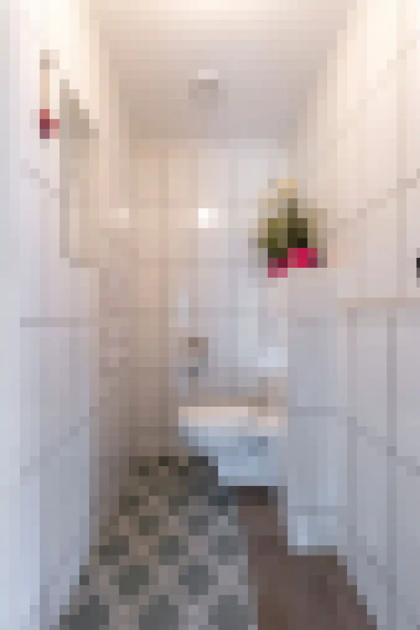 Groot Akkersweg 15 Exloo thumbnail 38