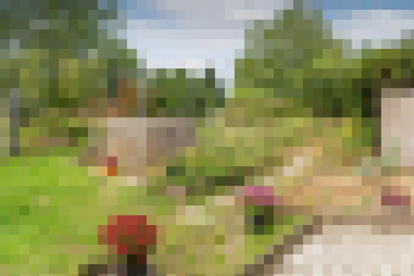 Groot Akkersweg 15 Exloo thumbnail 44