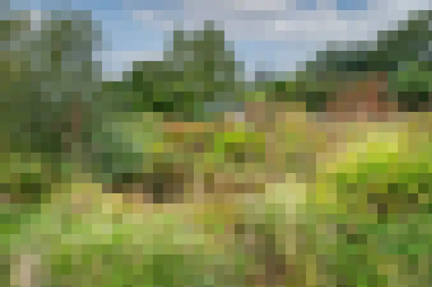 Groot Akkersweg 15 Exloo thumbnail 46