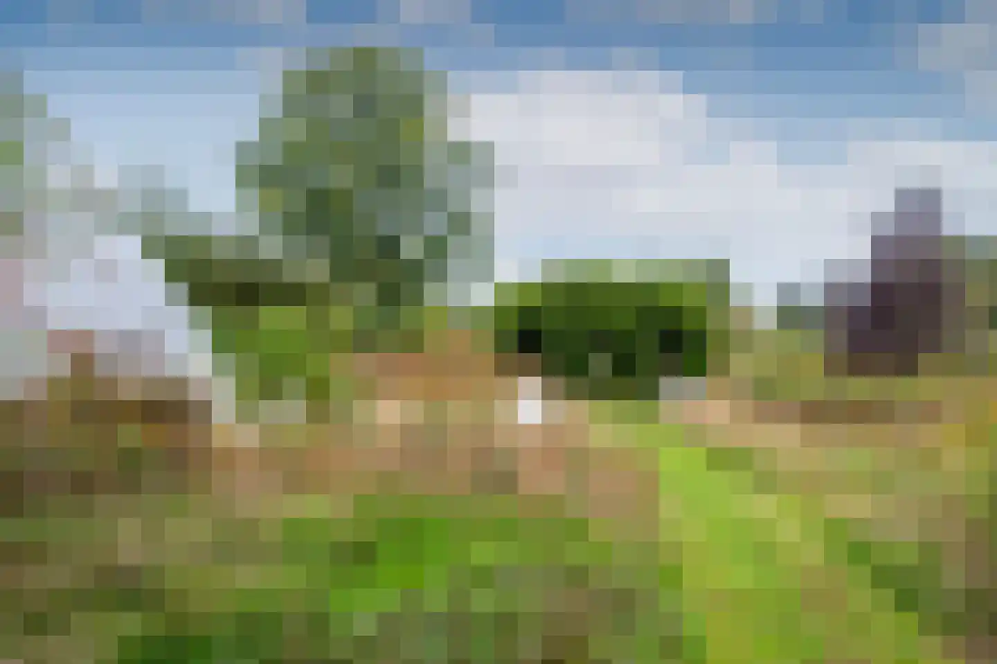 Groot Akkersweg 15 Exloo thumbnail 47