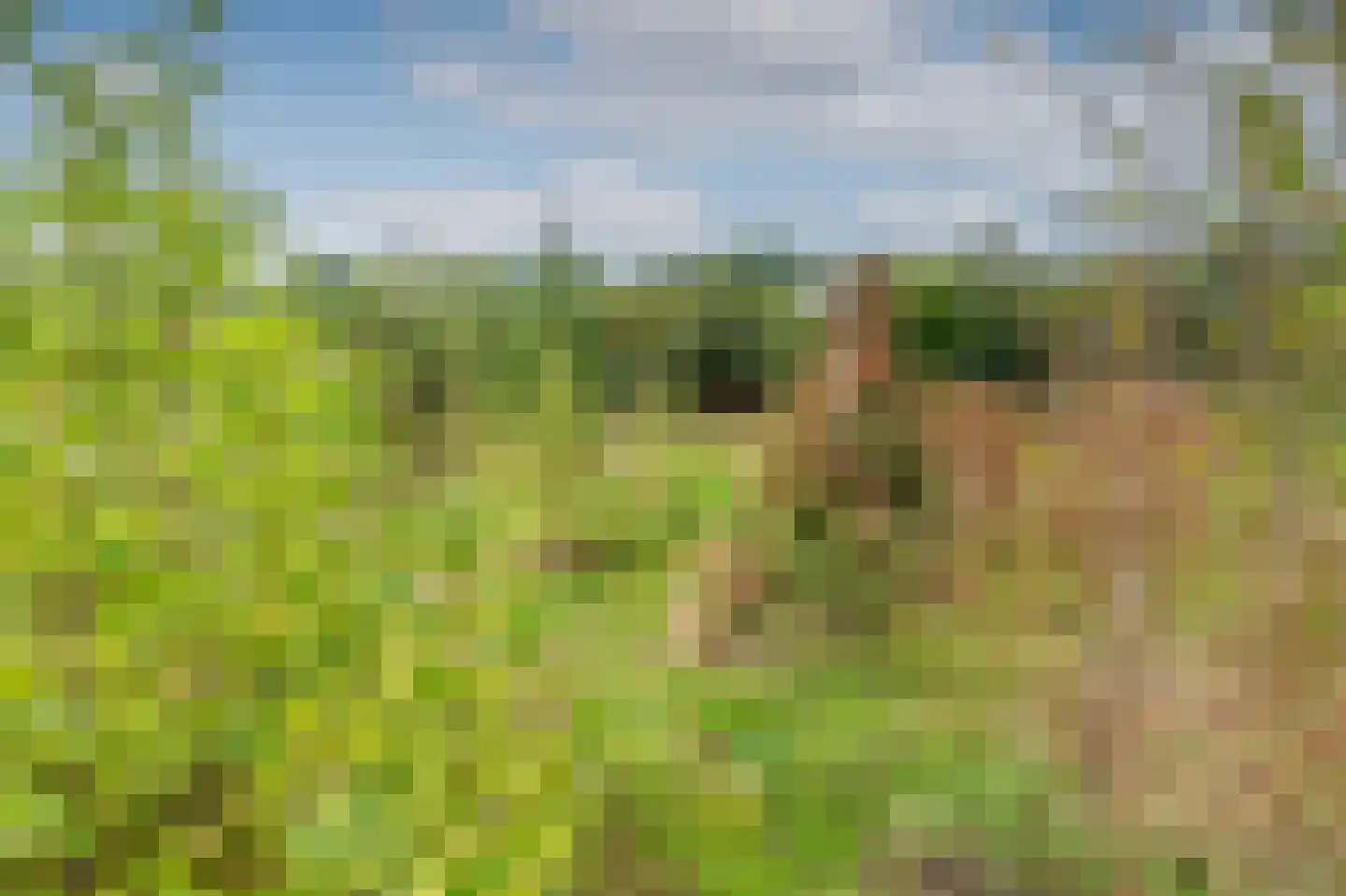 Groot Akkersweg 15 Exloo thumbnail 48
