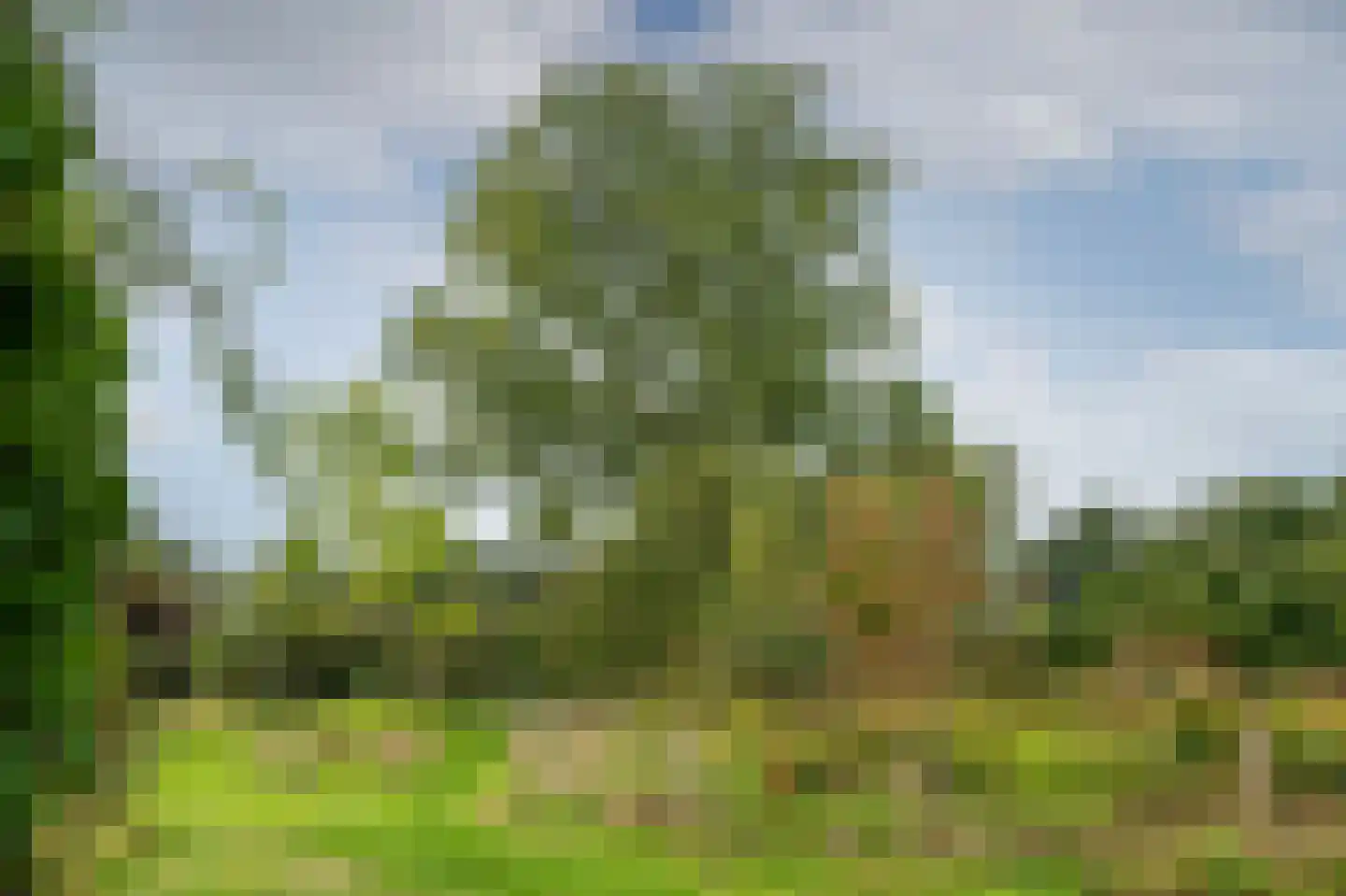 Groot Akkersweg 15 Exloo thumbnail 49