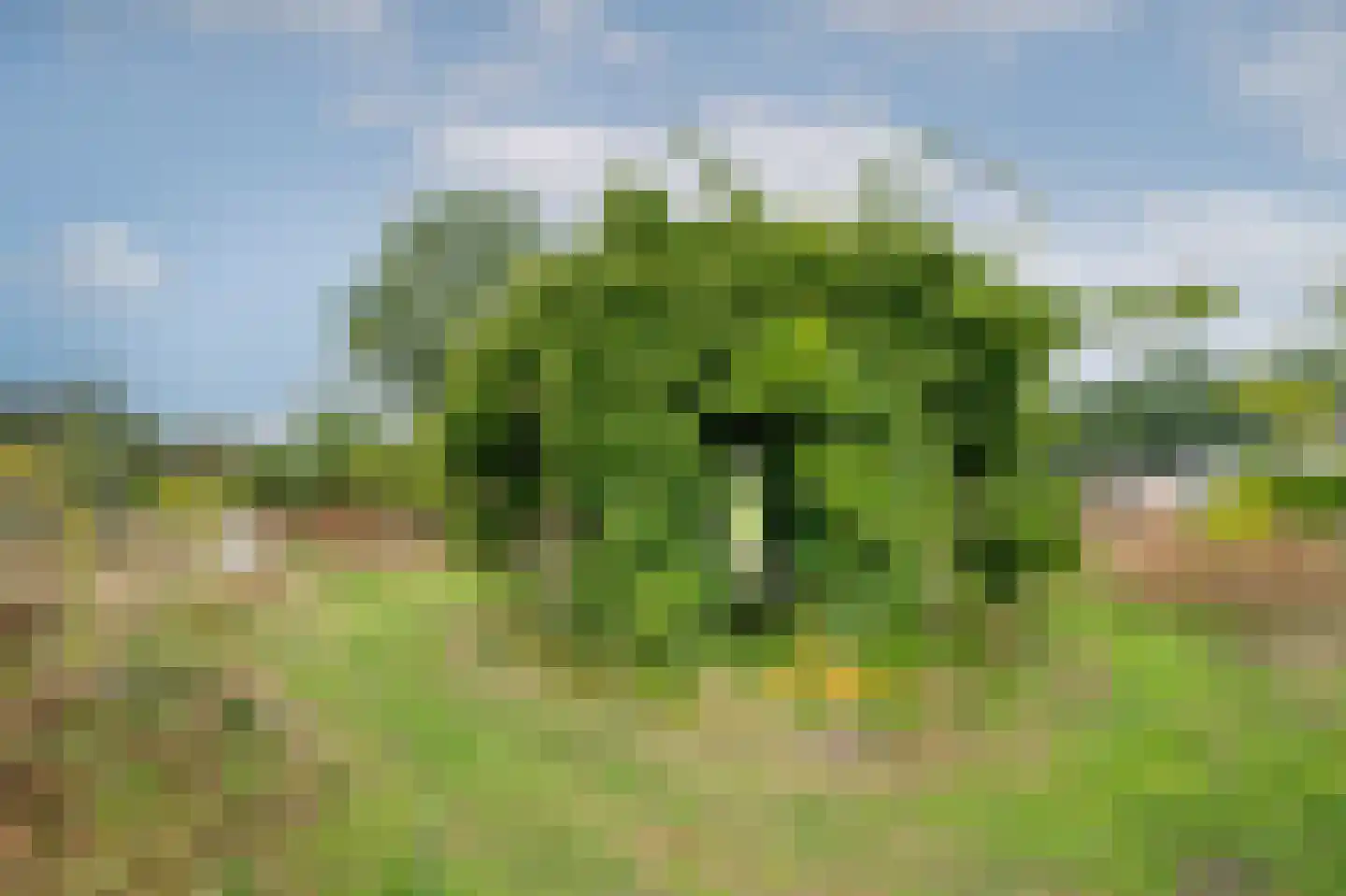 Groot Akkersweg 15 Exloo thumbnail 50