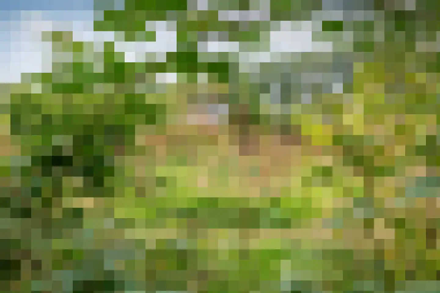 Groot Akkersweg 15 Exloo thumbnail 51