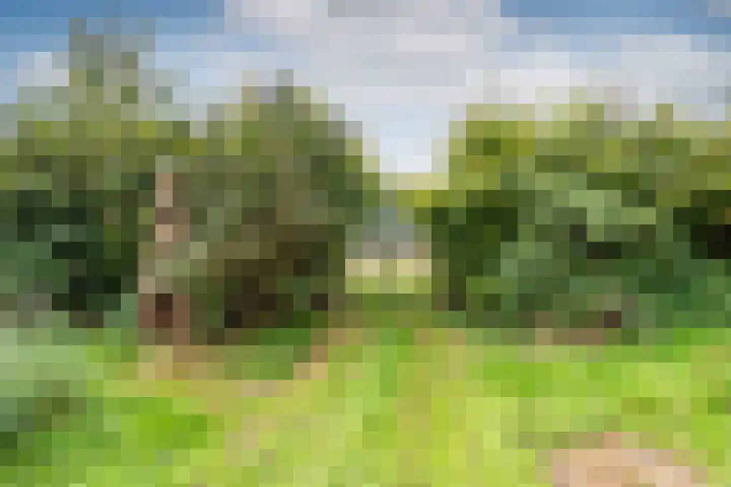 Groot Akkersweg 15 Exloo thumbnail 52