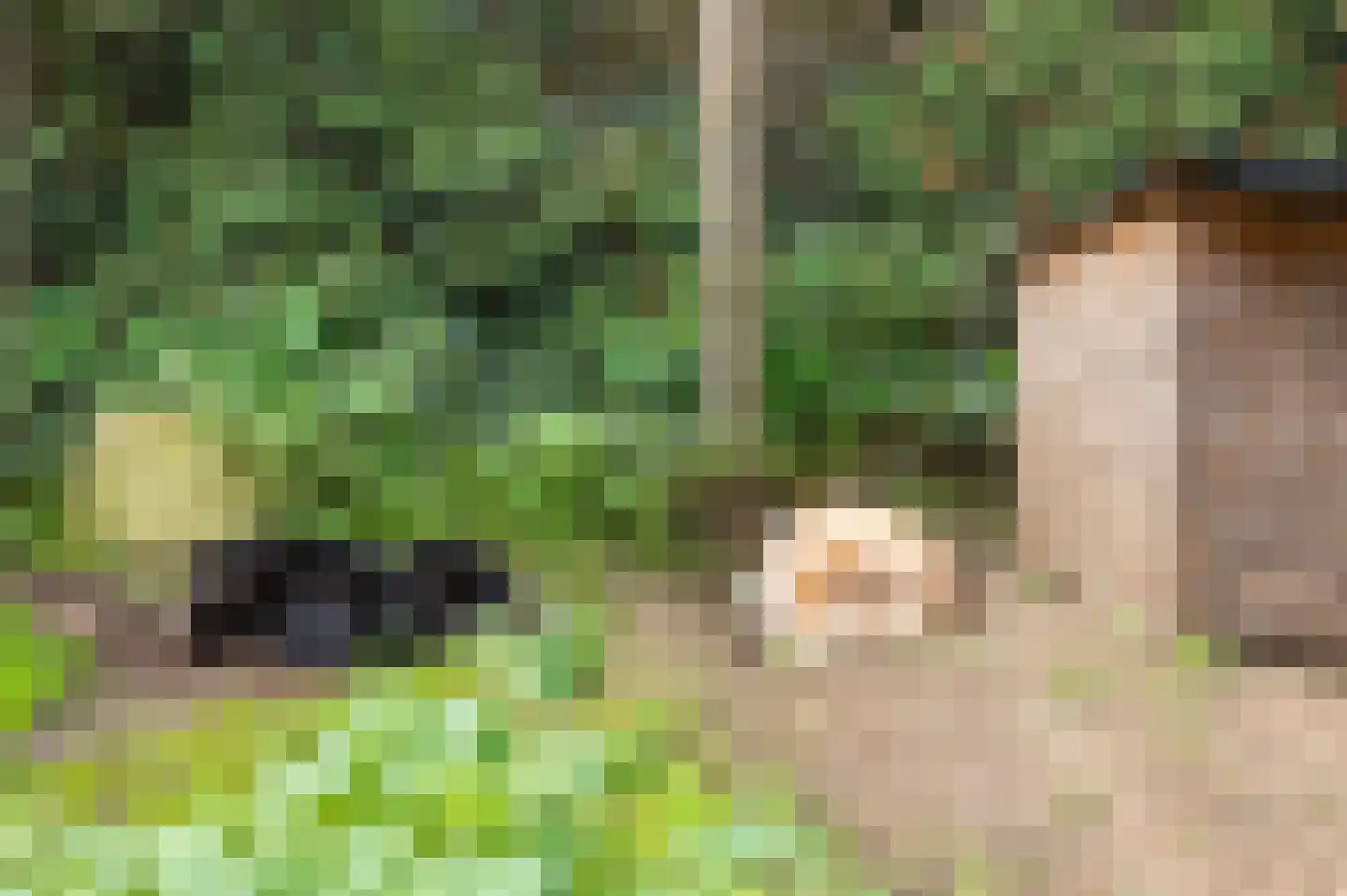 Groot Akkersweg 15 Exloo thumbnail 53
