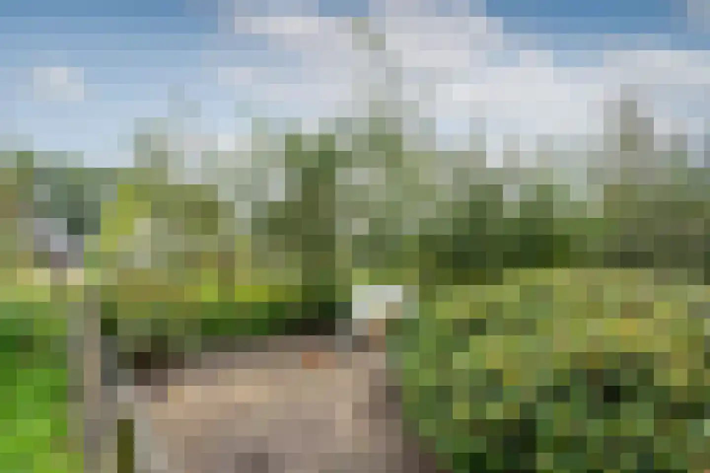 Groot Akkersweg 15 Exloo thumbnail 55