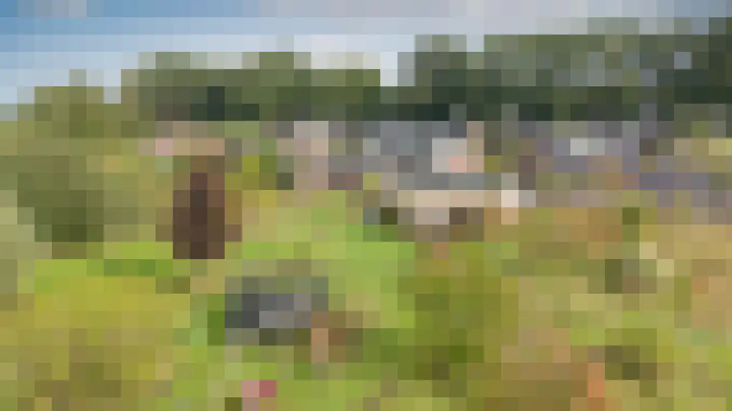 Groot Akkersweg 15 Exloo thumbnail 56
