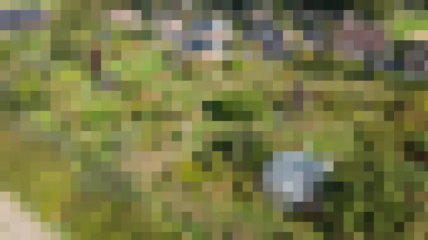 Groot Akkersweg 15 Exloo thumbnail 57