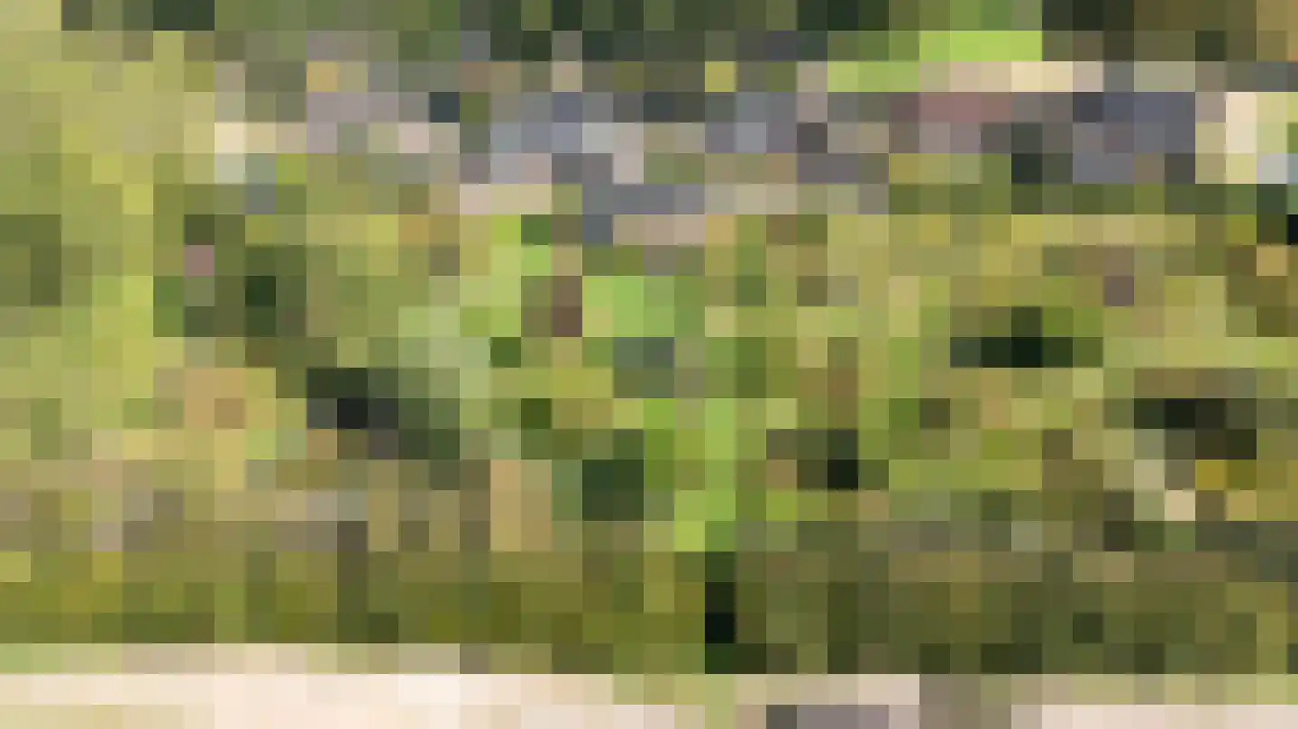 Groot Akkersweg 15 Exloo thumbnail 58
