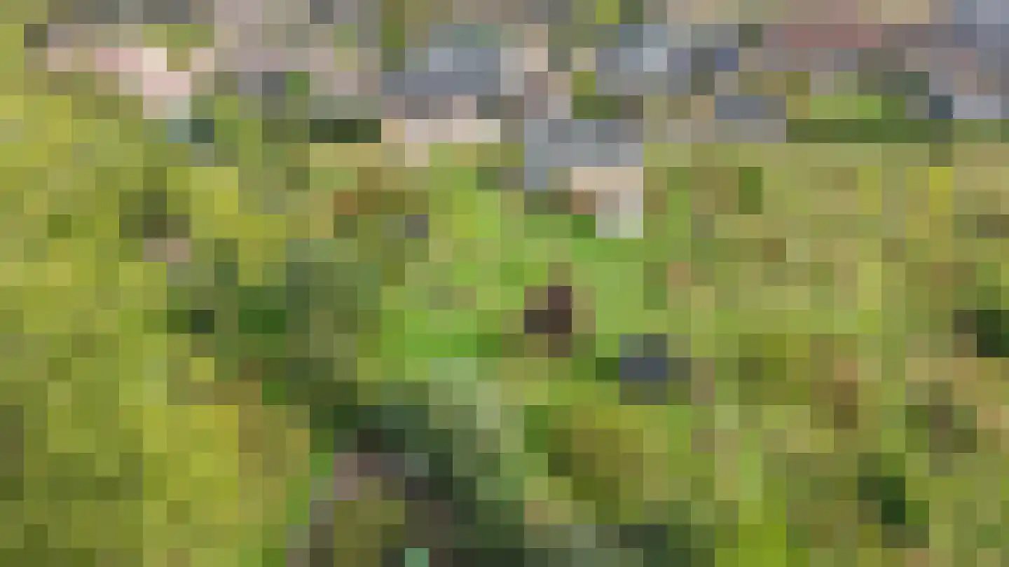 Groot Akkersweg 15 Exloo thumbnail 59