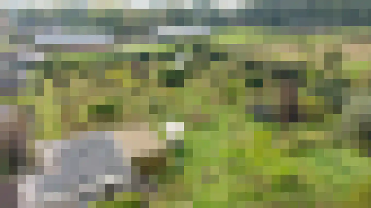 Groot Akkersweg 15 Exloo thumbnail 60