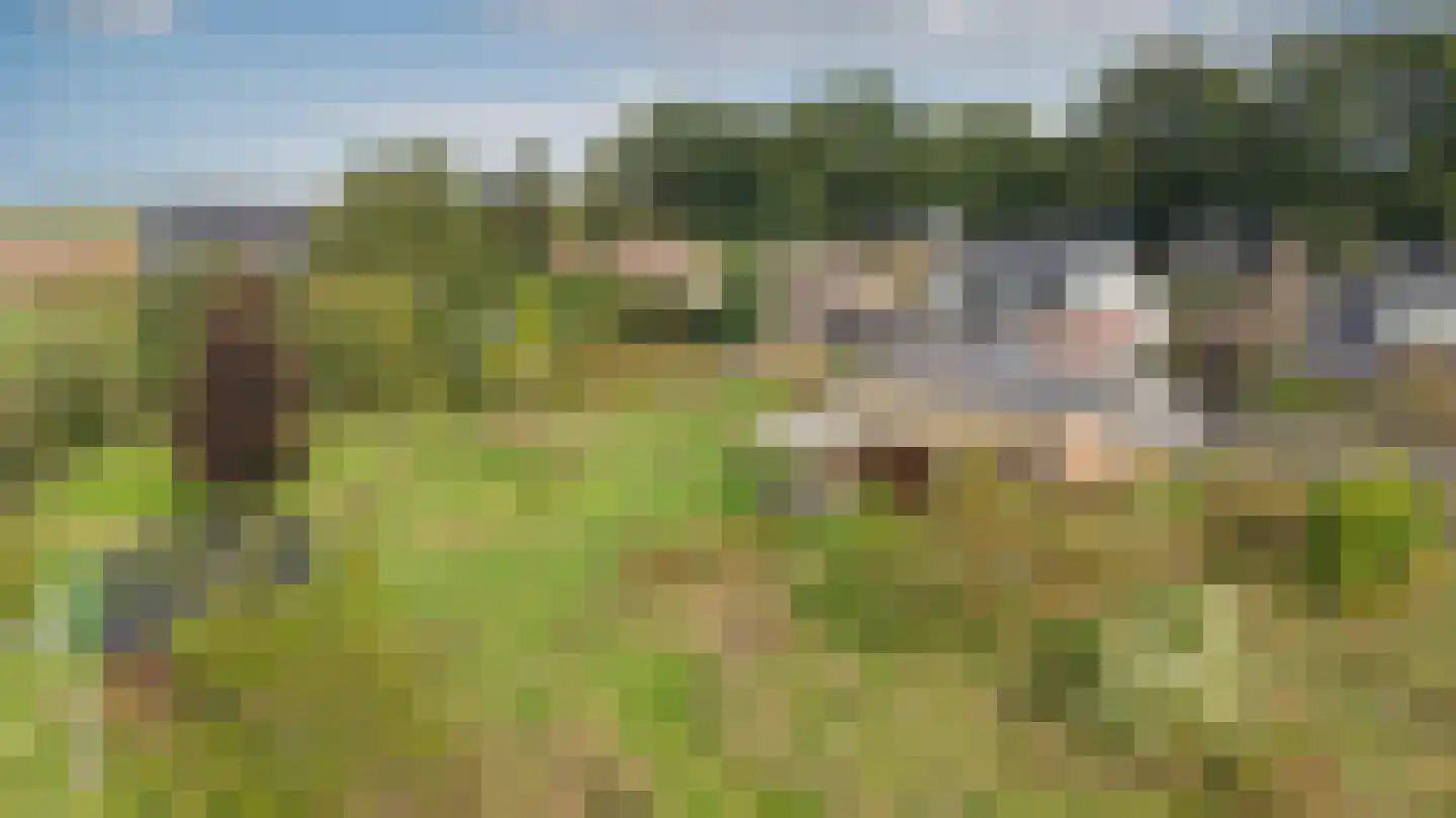 Groot Akkersweg 15 Exloo thumbnail 61