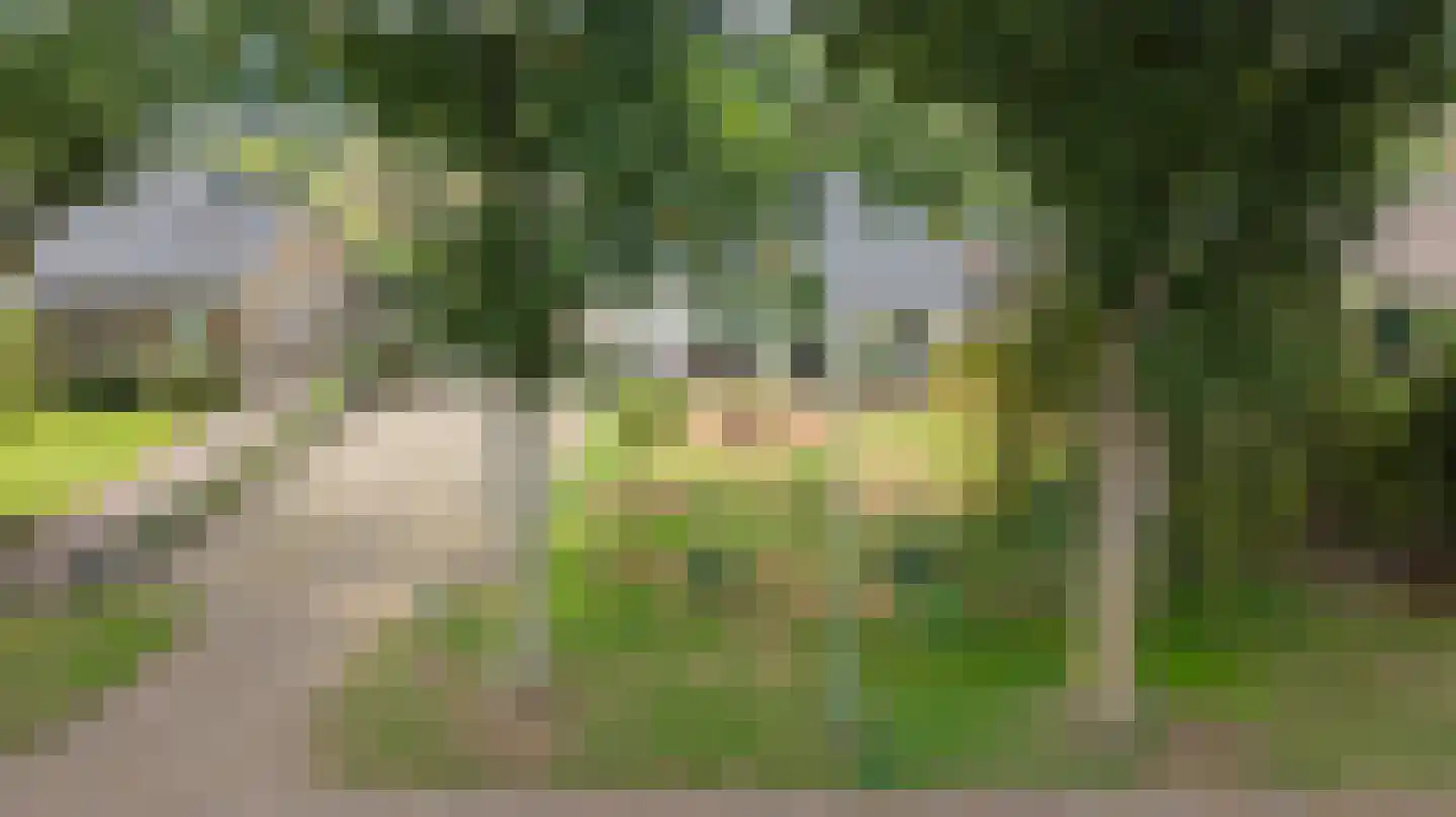 Groot Akkersweg 15 Exloo thumbnail 66