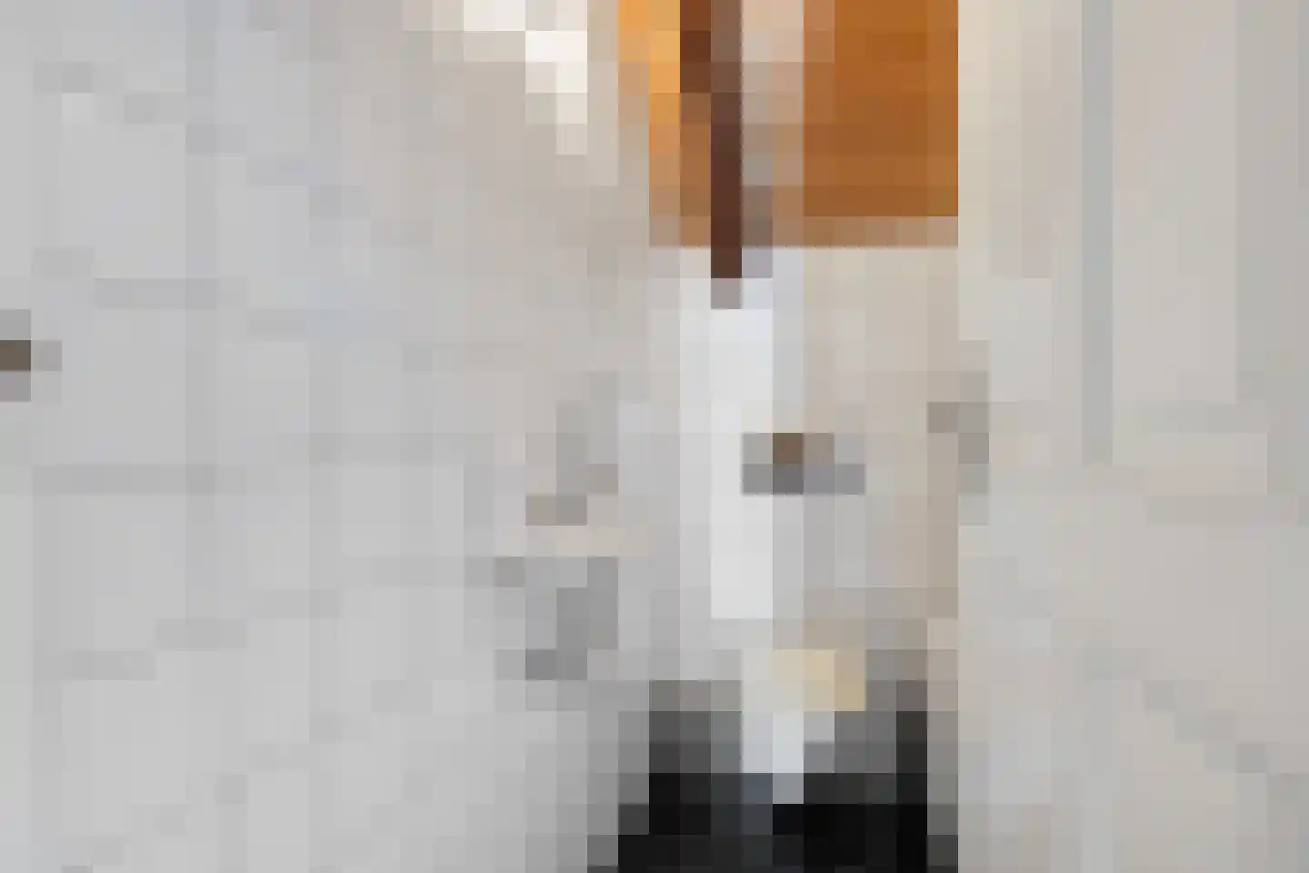 Groot Akkersweg 5 Exloo thumbnail 30