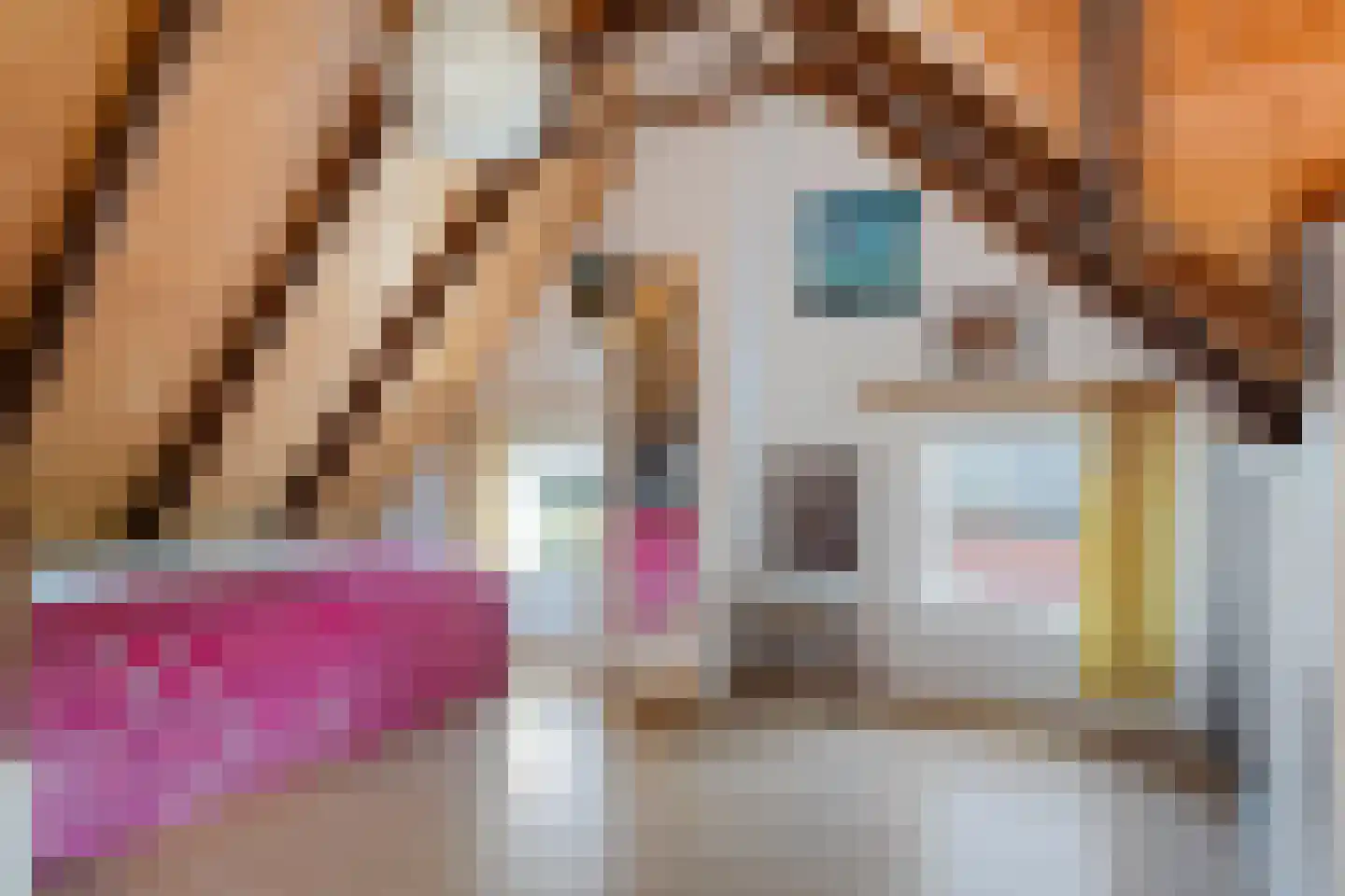 Groot Akkersweg 5 Exloo thumbnail 34