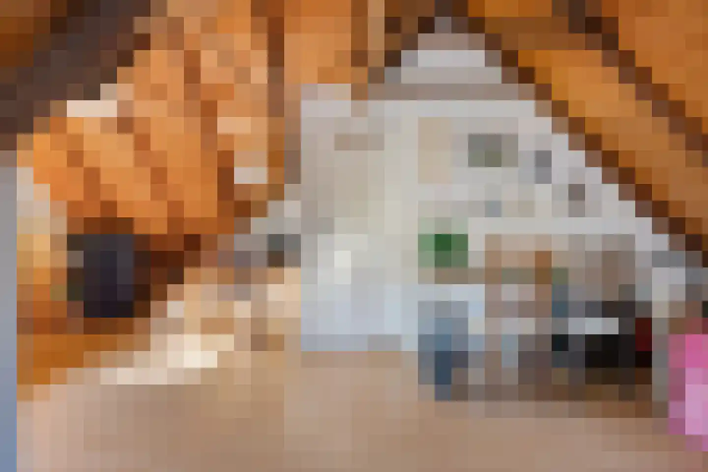 Groot Akkersweg 5 Exloo thumbnail 35