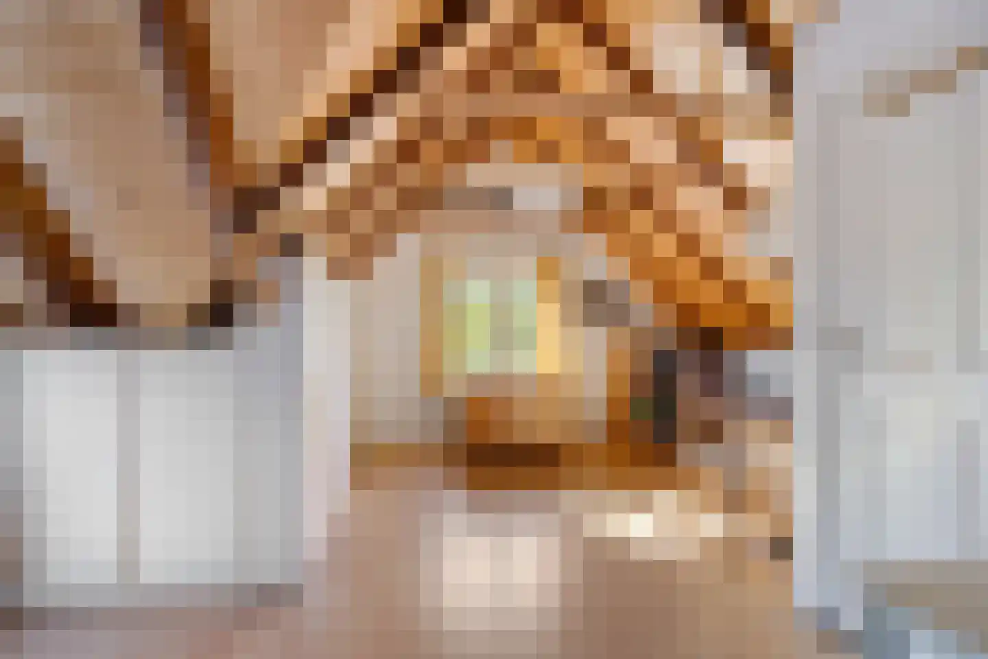 Groot Akkersweg 5 Exloo thumbnail 36