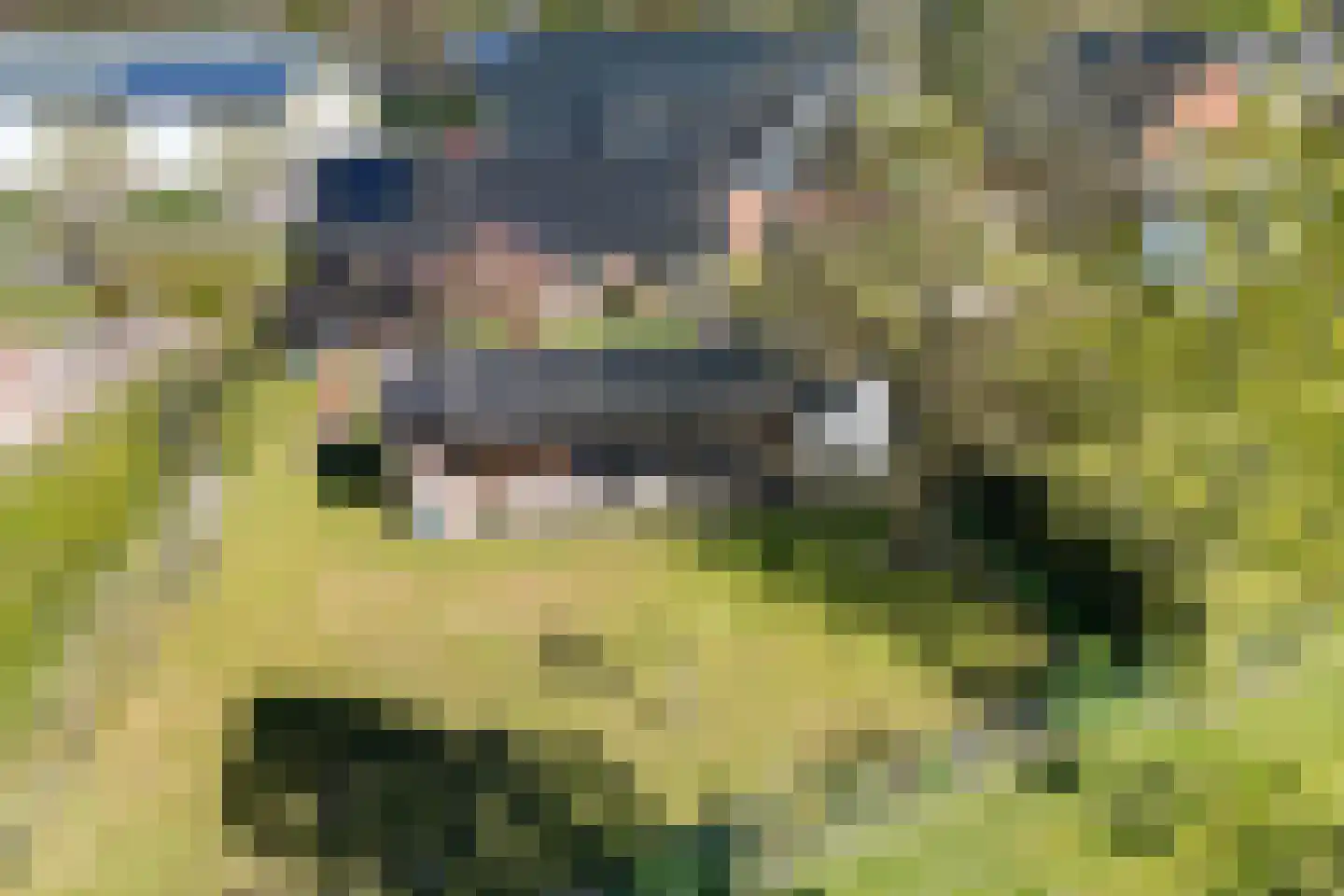 Groot Akkersweg 5 Exloo thumbnail 45
