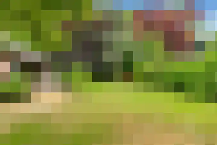 Groot Barlaken 60 Heiloo thumbnail 36