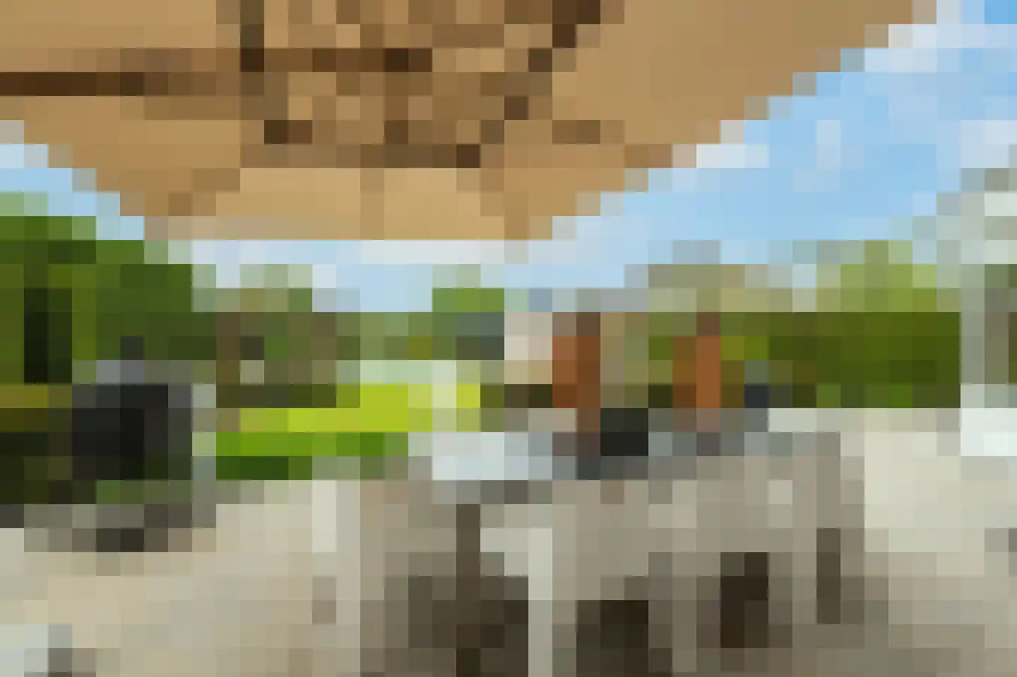 Groot Bedaf 14 Baarle-Nassau thumbnail 28