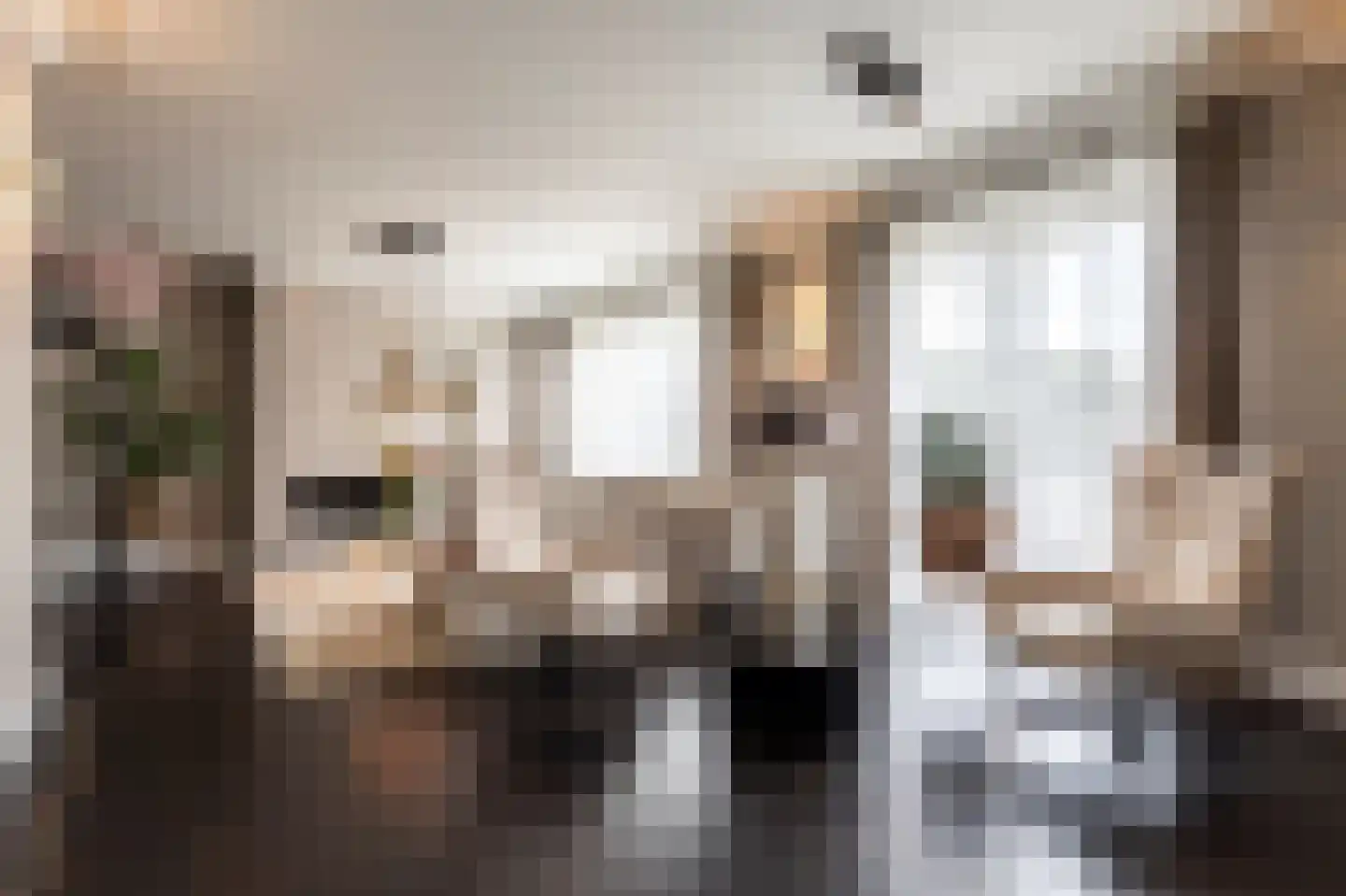 Groot Bedaf 14 Baarle-Nassau thumbnail 8
