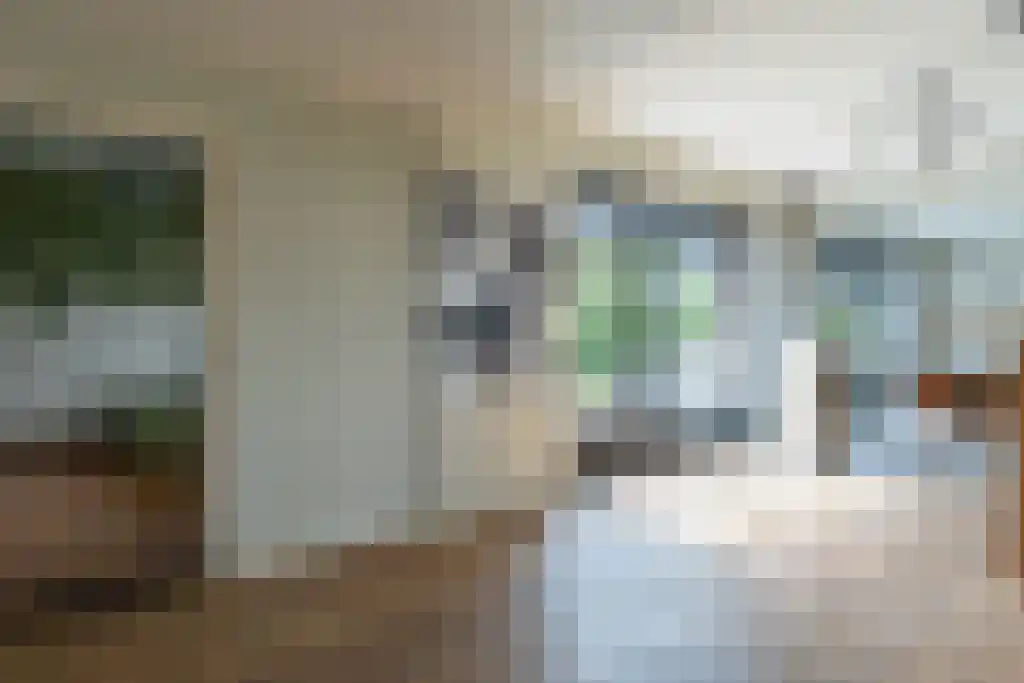 Groot Bedaf 3 Baarle-Nassau thumbnail 11
