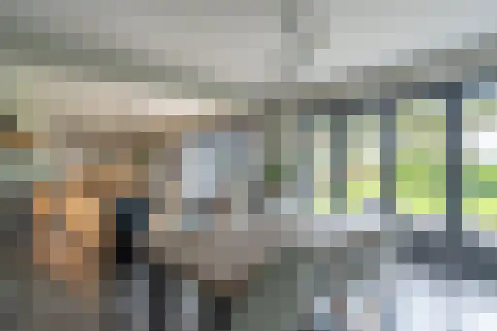 Groot Bedaf 3 Baarle-Nassau thumbnail 15
