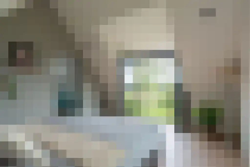 Groot Bedaf 3 Baarle-Nassau thumbnail 34