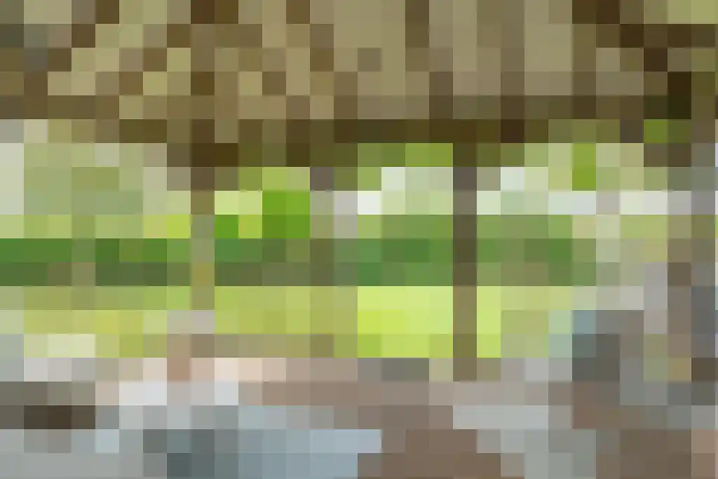 Groot Bedaf 3 Baarle-Nassau thumbnail 9