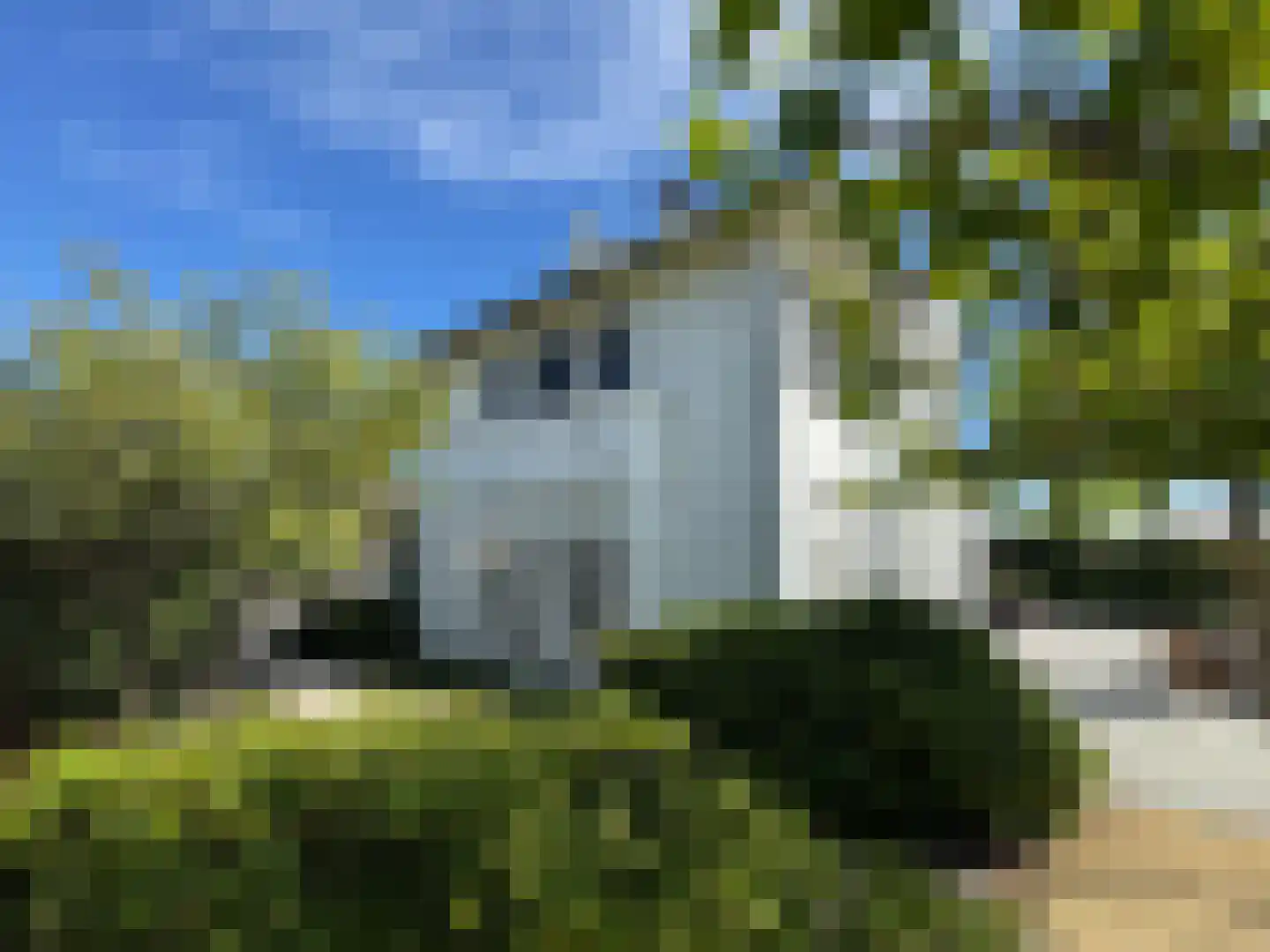 Groot Bedaf 57 Baarle-Nassau thumbnail 8