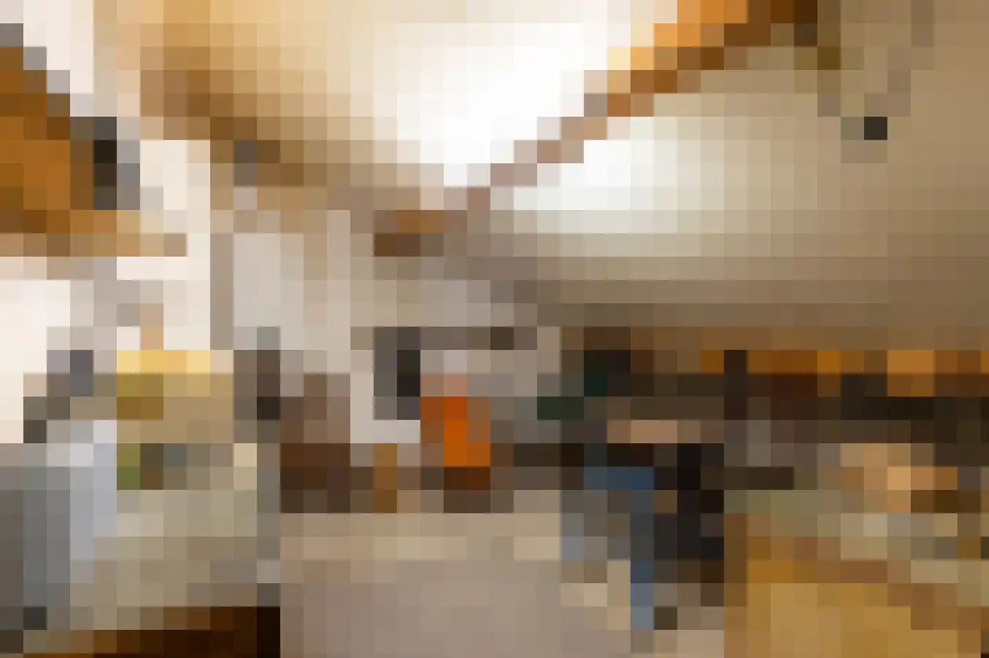 Groot Bedaf 6 Baarle-Nassau thumbnail 22
