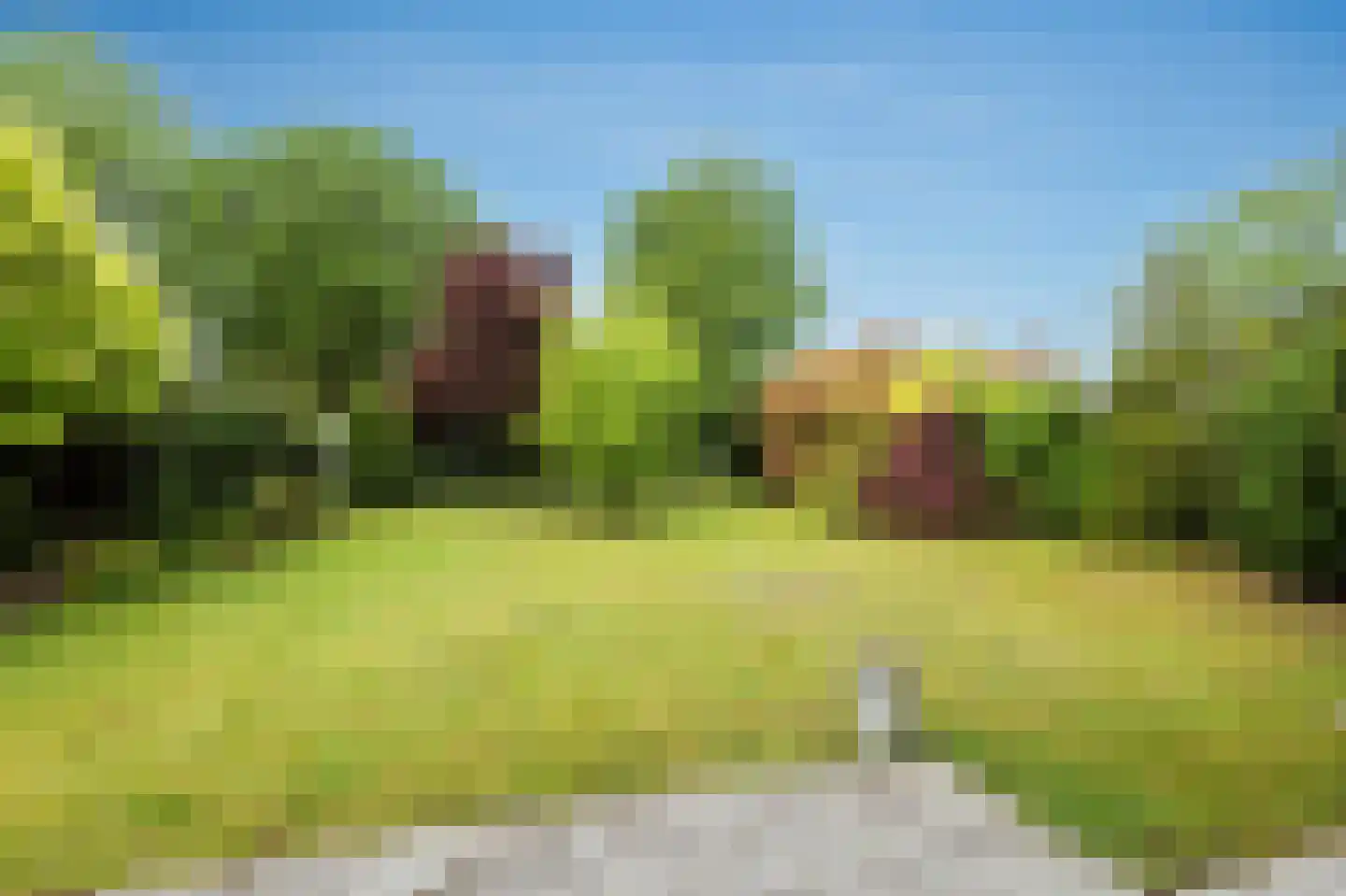 Groot Bedaf 6 Baarle-Nassau thumbnail 24
